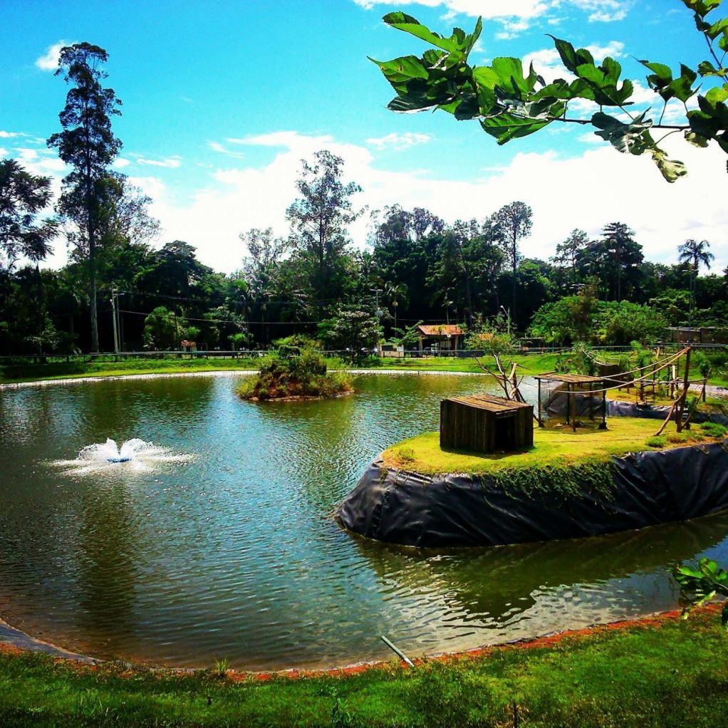 Foto: Diário de Justiça